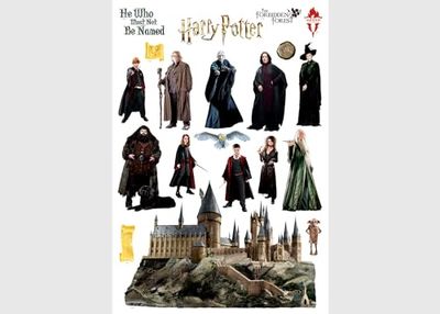 AG Design ADK 1656 - Adhesivo decorativo para pared infantil (42,5 x 65 cm), diseño de Harry Potter