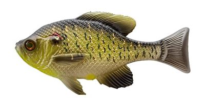 13 FISHING The Gill Cola de cuña de plástico Suave Pulgadas-1.1 onzas-Redear Sunfish-1 Cebo por Paquete-CB-gillw5.25-12 Swimbait, Unisex, 5.25"-1 Bait per Pack