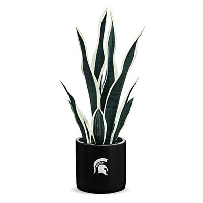 FOREVER LEAF MSU, pianta di serpente MSU, pianta di serpente finto, regali per uomini, regali MSU per donne, regali MSU, decorazioni spartane, decorazione per grotta dell'uomo, accessori da ufficio