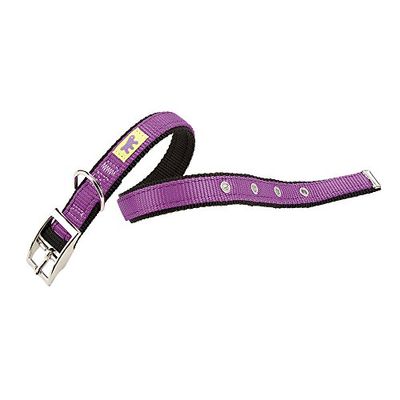 Ferplast Collare per cani DUAL CF15/35 COLOURS, Robusto nylon, Fibbia in metallo, A: 27÷35 cm - B: 15 mm Viola