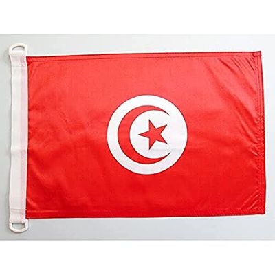 AZ FLAG - Drapeau Tunisie - 45x30 cm - Pavillon Nautique Tunisien Spécial Bateau Et Extérieur en Maille Bloquée avec Anneaux Plastiques Intégrés - 30g