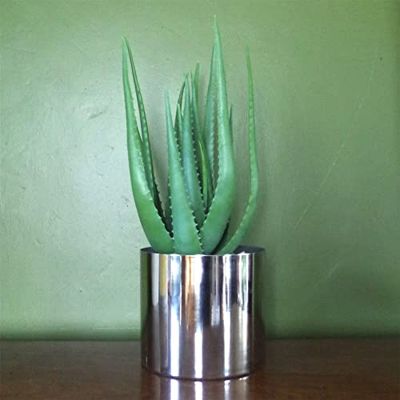 Blad 55 cm konstgjord realistisk aloe vera suckulent växt med silverdesigner planter