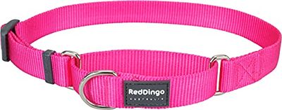 Red Dingo - Collar Tipo Martingale para Perro, diseño Liso