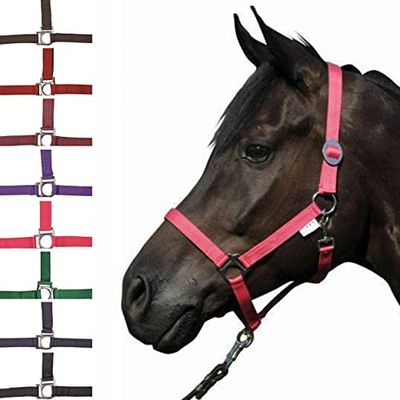HKM Stars Economy Holster Rood Koud Bloed