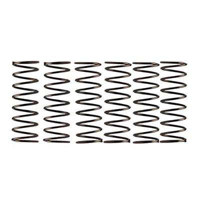 Campagnolo componentry reserveonderdelen hubs Pawl Spring, 6-fh-re014-6 stuks