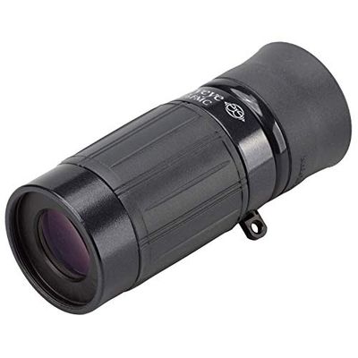 Kenko Monocular Gallery Eye 6x16 Negro, Revestimiento Completo, Distancia de Enfoque cercano 25 cm, Fabricado en Japón, para apreciación del Arte, 014707