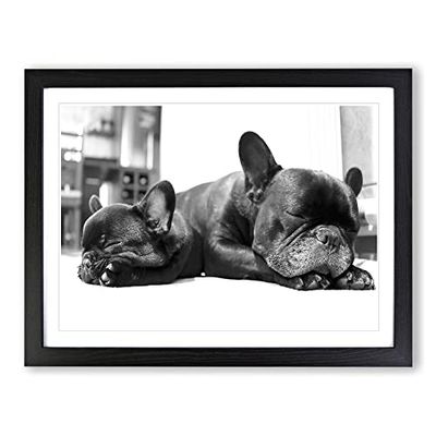 Two Black French Bulldogs Dog Modern Framed Wall Art Print, Ready to Hang Picture for Living Room Bedroom Home Office Décor, Black A2 (64 x 46 cm)