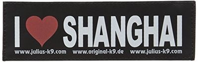 Julius-K9 162lr-k-49982, Originale intercambiabili Toppe per Powerharness, Taglia: Small, Riflettente, Fosforescente, 1 Paio, Ask to Pet Me