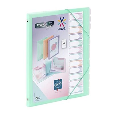 Viquel - Propysoft - Organizador personalizable con 12 compartimentos (tamaño A4, cierre elástico), color verde translúcido