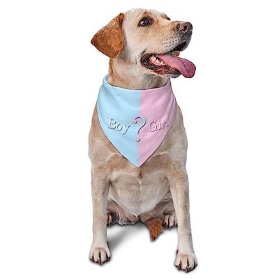 vercosee He Or She What Will It Be ? Bandana pour révélation du Sexe/Annonce de bébé, Foulard pour Animaux de Compagnie à Porter au Quotidien, Accessoire Photo, Fournitures de fête (Bleu)