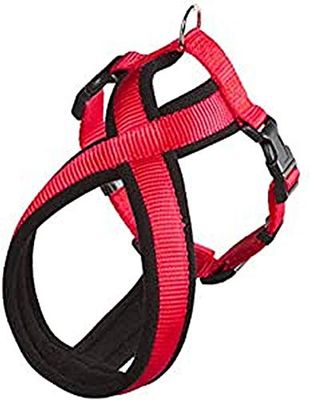 ARPPE 4163012001 Harness Sport Can & Cross, Red