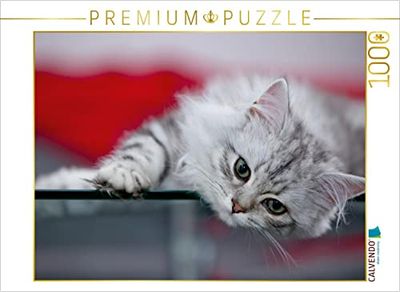 CALVENDO Puzzle britannico a pelo lungo gattino 1000 pezzi Lege-Dimensioni 64 x 48 cm Foto puzzle Immagine di Melanie Viola
