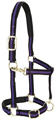 Weaver Leather Licol rembourré réglable en Nylon Violet 2,5 cm pour Petit Cheval