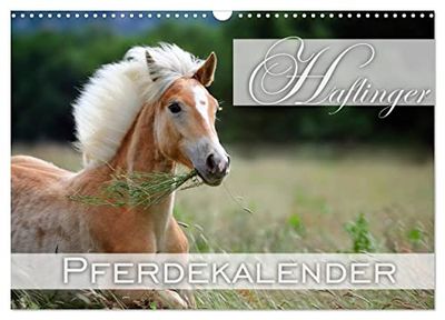 Haflinger/Geburtstagskalender (Wandkalender 2024 DIN A3 quer), CALVENDO Monatskalender