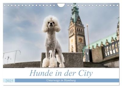 Hunde in der City - Unterwegs in Hamburg (Wandkalender 2025 DIN A4 quer), CALVENDO Monatskalender: Verschiedene Rassen präsentieren sich vor den Highlights der Hansestadt Hamburg.