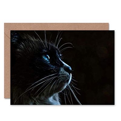 Wee Blue Coo CARD GREETING CUTE CAT FACE HEAD WHISKERS GIFT