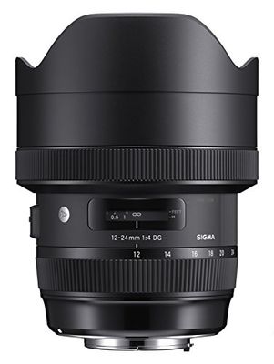 Sigma F4 DG AF HSM Art - Objetivo para cámara para réflex (12-24 mm) Negro