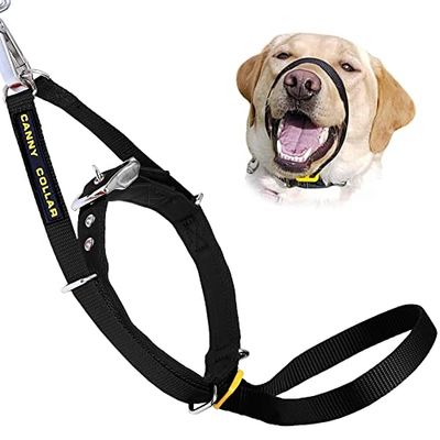 Canny Collar - Il collare da addestramento e da passeggio per cani, un aiuto semplice ed efficace per l'addestramento del cane e aiuta a prevenire che i cani tirino il guinzaglio, collare per addestramento cani - Nero