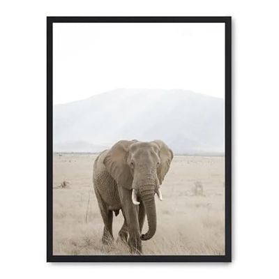 Cuadro elephant in the savana i_FASE5