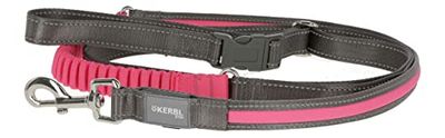 Kerbl Pet Light & Reflex Jogging & Lead 25 mm x 250cm, roze