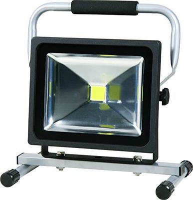 Projecteur LED 30 W 2200 lm