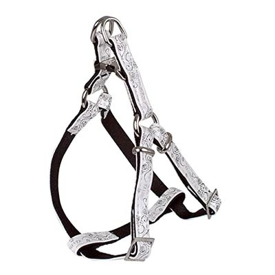 Doogy ARNINO Regolabile Envy Forever 10 MM Bianco