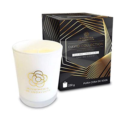 David Collection Tropical Dream Scented Candle (250 gr.)
