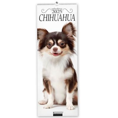 Chihuahua. Calendario 2025. Long