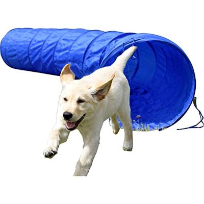 dobar® 50809 - Tunnel Agility Tunnel per Cani, 3 m, per addestramento, con Tunnel in plastica, Diametro 50 cm, Lunghezza 300 cm, Colore: Blu