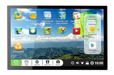 Ordissimo - Tablet Celia dla seniorów - łatwa obsługa - duży 10-calowy wyświetlacz z ekranem dotykowym - intuicyjny interfejs użytkownika, WiFi i 4G - 2 kamery i port USB - idealny do komunikacji - srebrny
