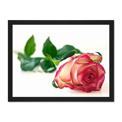 Single Pink Rose Romantic Flower Large Framed Art Print Poster Wall Decor 18x24 inch