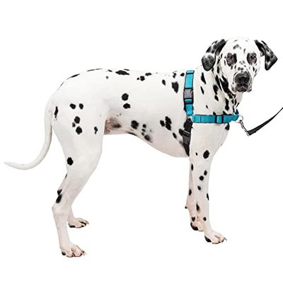 PetSafe EWH-D-HC-L-OCN Imbracatura Deluxe Easy Walk, Grande, Colore: Oceano/Nero, Nylon