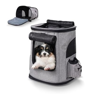 Mobiclinic® Pets, Mochila para Mascotas. Thor, Plegable, Ventana de Malla, Bolsillos para Accesorios, Múltiples accesos, Doble asa, Ajustable, 30x25x40 cm, Transportín Gatos y Perros