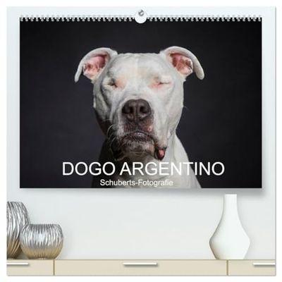 DOGO ARGENTINO (hochwertiger Premium Wandkalender 2026 DIN A2 quer), Kunstdruck in Hochglanz: Eine Hunderasse zum verlieben