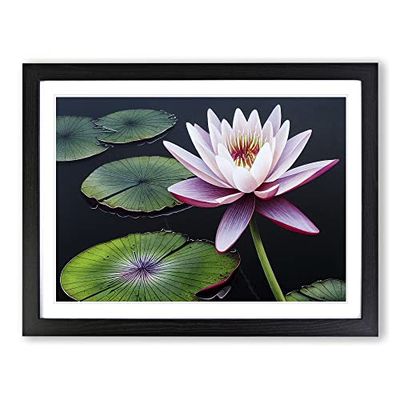 Watercolour Water Lily Flower Vol.3 H1022 BLK Framed Print for Living Room Bedroom Home Office Décor, Wall Art Picture Ready to Hang, Black A3 Frame (46 x 34 cm)