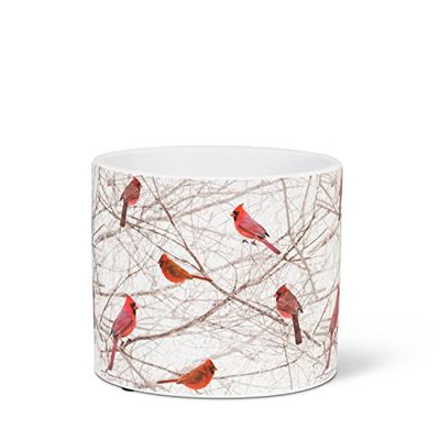 Abbott Collection Casa Piccoli cardinali in Bush Planter
