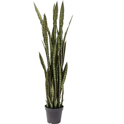 Kare Ontwerp Plant Sanseuera Nep Planten Decoratie, 155 cm