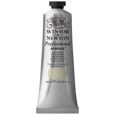 Winsor & Newton 2320217 60 ml Professional Acrylic Colour - Davys Grey