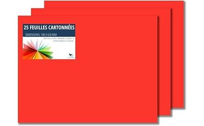 Raylu Paper – Papier Cartonné 50 x 65 cm Coloré, 25 Feuilles Cartonnées, Papier Epais de Couleur, pour l’Ecole, le Bureau, le Scrapbooking, les Activités Manuelles, 180g/m² (Rouge Tomate)