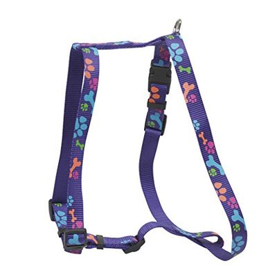 CHAPUIS SELLERIE SLA485 Pettorina regolabile per cani - Collare in nylon zampe viola - Larghezza 15 mm - Dimensioni 30-50 cm - Misura S