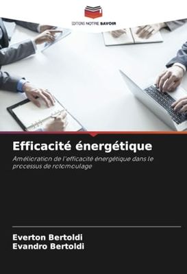 Efficacité énergétique: Amélioration de l'efficacité énergétique dans le processus de rotomoulage