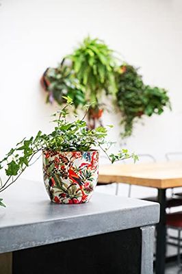 Ivyline Indoor Plant Pot Monza Tropische Papegaai H17Cm D17Cm, Rood/Crème