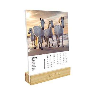 DRAEGER PARIS | Calendar on Stand Horses 2024 | 12 x 16.5 cm | Year 2024 | 7 Languages | Monthly Desk Decoration Calendar | Bamboo Base | FSC® Certified Paper | Vegetable Inks