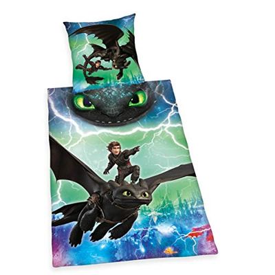 Herding DreamWorks Dragons Conjunto de roupa de cama, 100% algodão, multicolor, Oesterreichische Tamanho