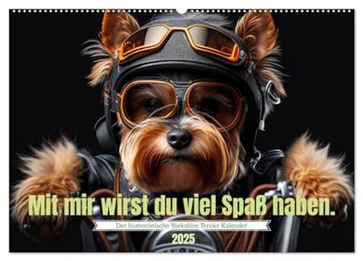 Der humoristische Yorkshire Terrier Kalender (Wandkalender 2025 DIN A2 quer), CALVENDO Monatskalender: Das ideale Geschenk für Yorkshire Terrier ... um den Hundebesitzer glücklich zu machen.