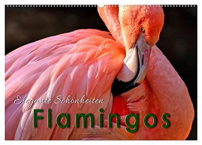 Flamingos - elegante Schönheiten (Wandkalender 2025 DIN A2 quer), CALVENDO Monatskalender: Eindrucksvolle Bilder der beeindruckenden Tiere.