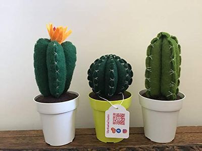 Cactus, pianta grassa di stoffa, decorativo, bomboniere, misura S
