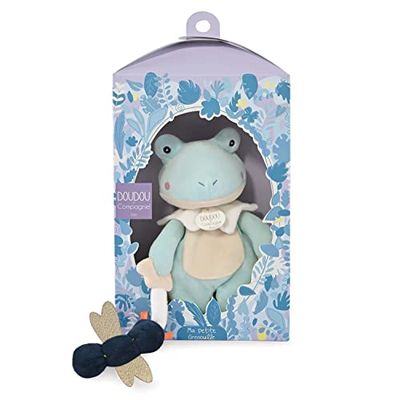 Doudou et Compagnie - La Colline aux Oiseaux - Ma Petite Grenouille - Doudou Grenouille- Amande - 27cm - Cadeau Naissance - Jolie boîte nichoir - DC4052
