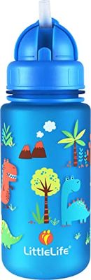 Water Bottle - Dinosaurs, 400ml