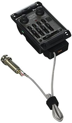 Fishman Prefix Plus-T smal
